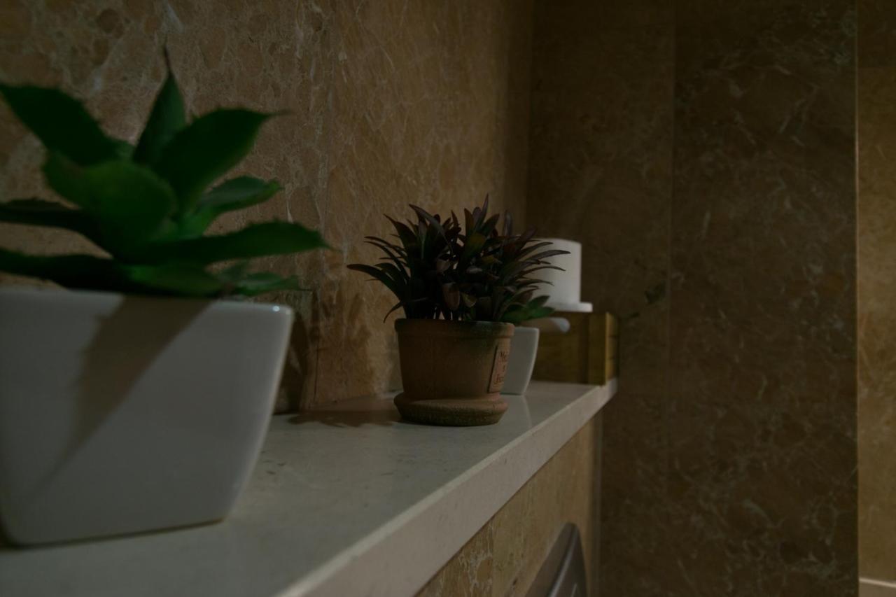 Avenida Central - Coimbra Accommodation エクステリア 写真